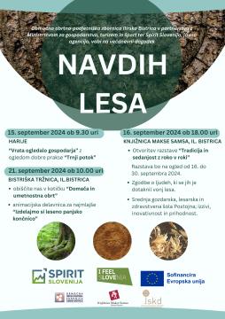 Plakat Navdih Lesa_Il Bistrica